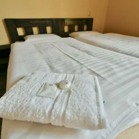 Wellness Fridrich Szálloda Horní Těrlicko