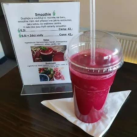 Wellness Fridrich * Horní Těrlicko