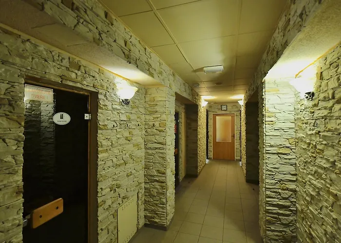 Wellness Fridrich Отель *