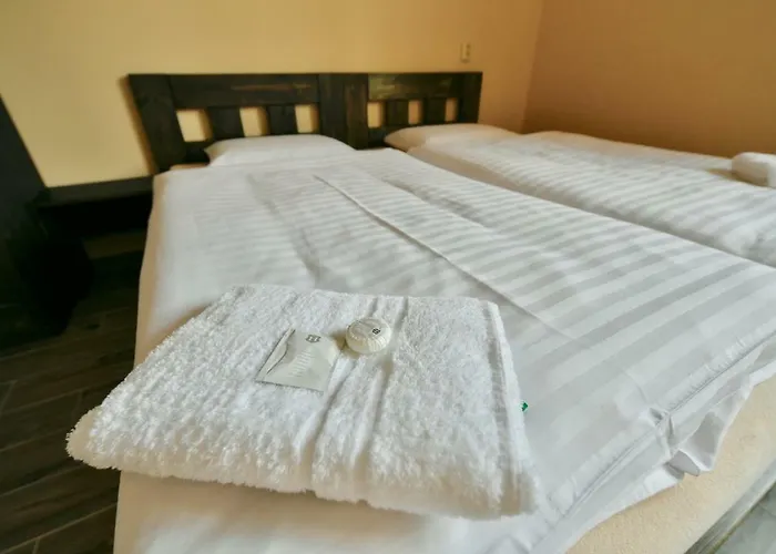 Wellness Fridrich Hotell Horní Těrlicko